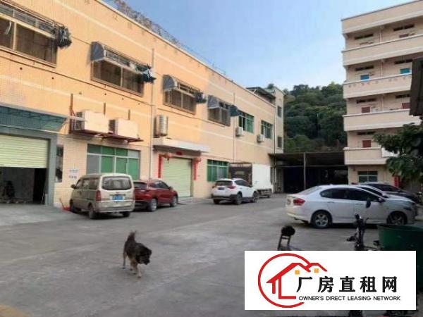  凤岗原房东无公摊注塑五金模具厂房出租一楼900平租金便宜