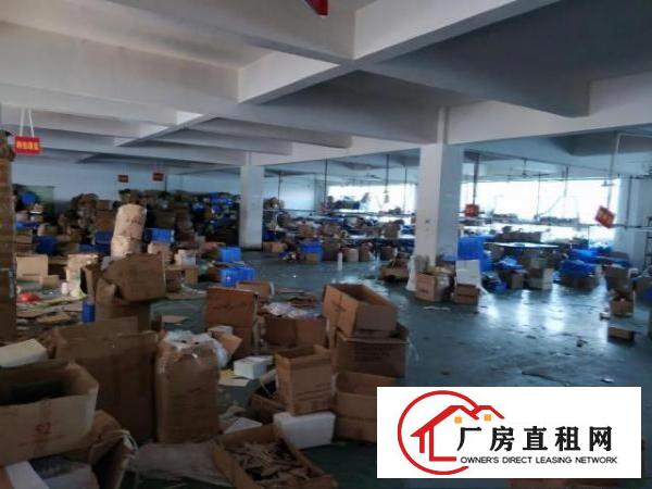  凤岗天堂围毛刷化妆刷皮具胶袋电子楼上厂房出租1450平