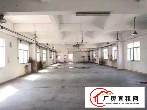 凤岗靠近观澜独院厂房出租2250平方可分租适合各行业