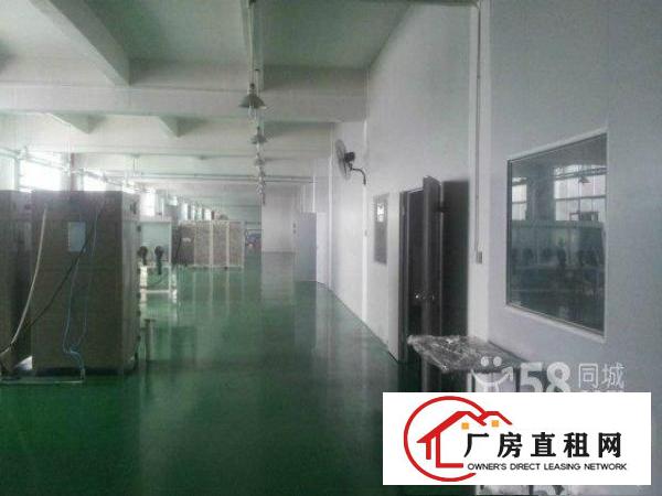  工业园厂房分租800起分