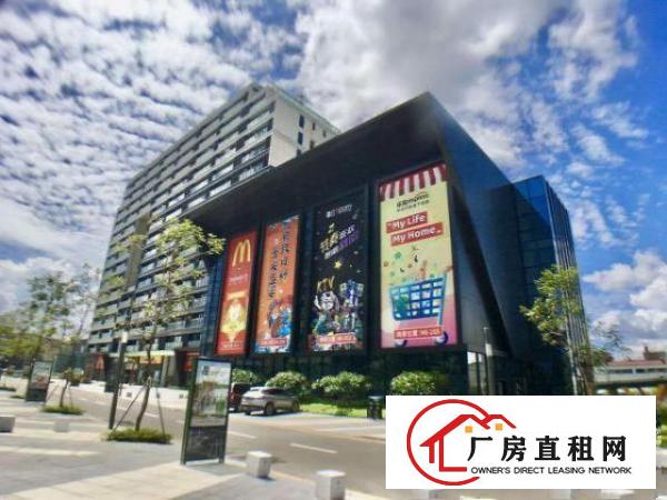  凤岗近深圳豪华装修写字楼厂房出租570平租金仅16元