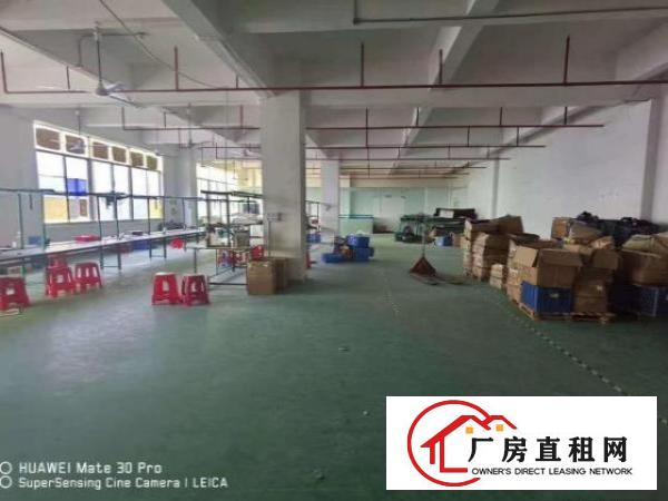 带地坪漆拉线楼上电子组装线材660平凤岗金凤凰厂房出租