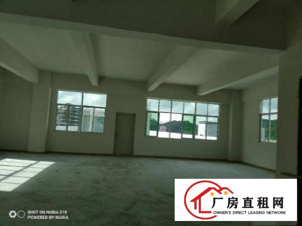  原房东全新厂房，实量面积2000平，报价20元，可谈