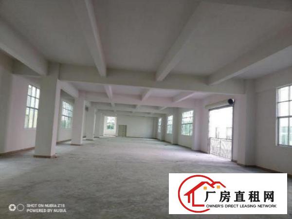  原房东全新厂房，实量面积2000平，报价20元，可谈