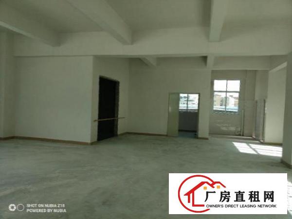  原房东全新厂房，实量面积2000平，报价20元，可谈