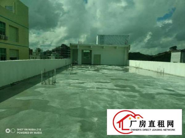  原房东全新厂房，实量面积2000平，报价20元，可谈