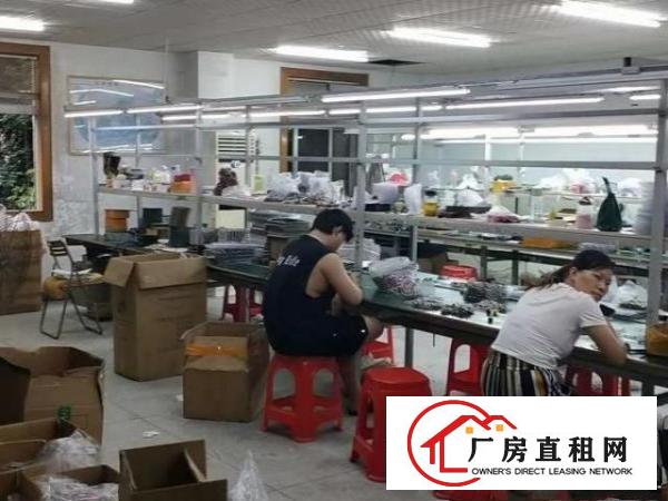  东莞凤岗凤德岭村凤深大道