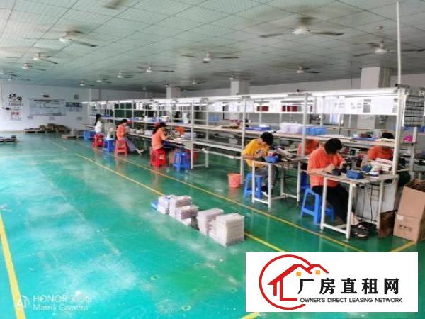  金凤凰带装修楼上1200平出租