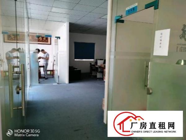  金凤凰带装修楼上1200平出租