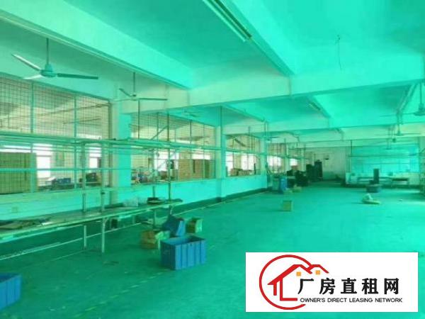  原房东独院3200出租