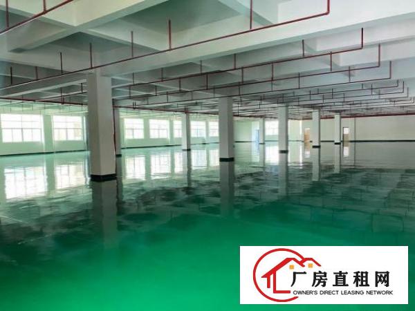  可做电池，珍珠棉厂房2200平，可分租