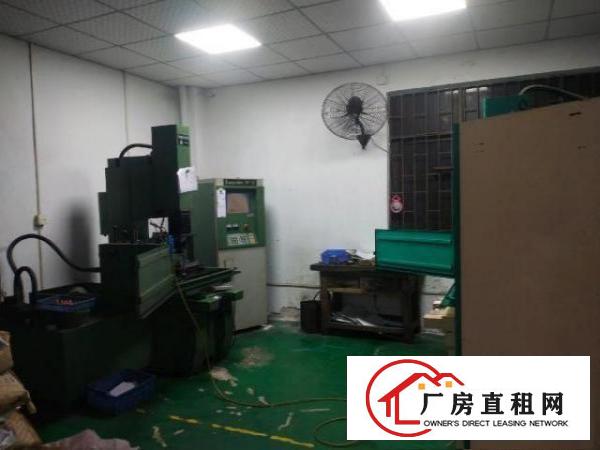  雁田带装修一楼260平