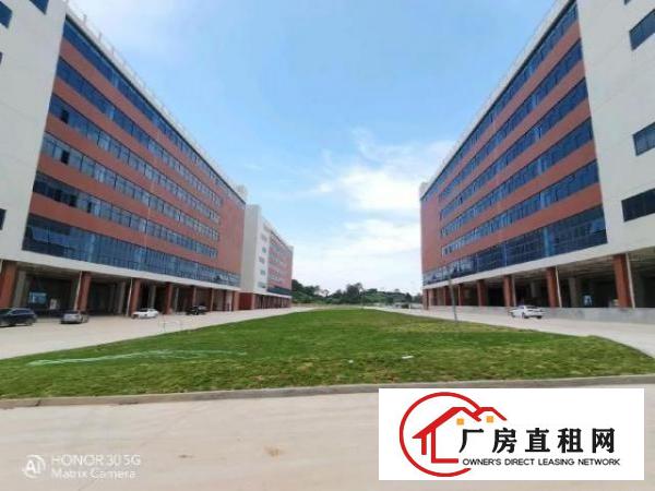 国有红本全新厂房12万平出租，可分租