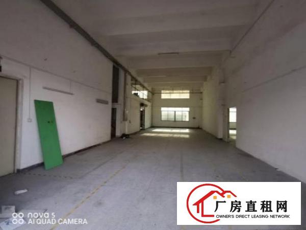  消防环保合格！雁田带红本5000方原房东独院厂房带精装修出租