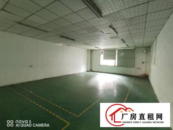  消防环保合格！雁田带红本5000方原房东独院厂房带精装修出租