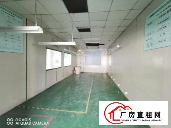  消防环保合格！雁田带红本5000方原房东独院厂房带精装修出租