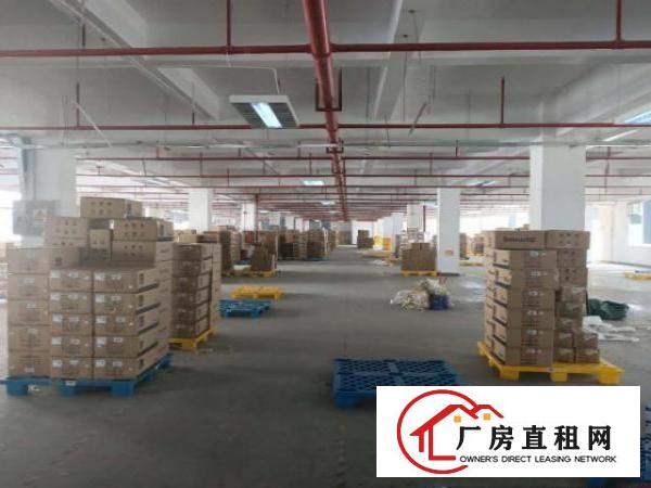  凤岗浸校塘工业园仓库厂房出租楼上整层3300平米可以分租