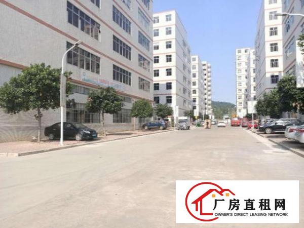  凤岗浸校塘工业园仓库厂房出租楼上整层3300平米可以分租