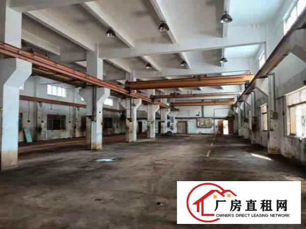  凤岗带现成行车6米高塑胶模具五金注塑厂房一楼1600平方