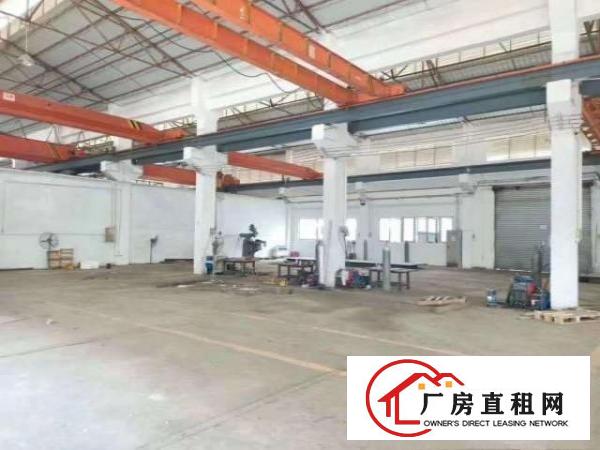  出租凤岗金凤凰独栋钢构厂房滴水8米