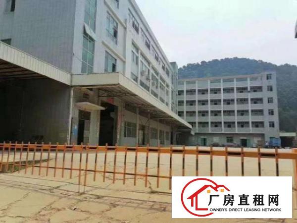  出租凤岗雁田靠山边独院标准厂房