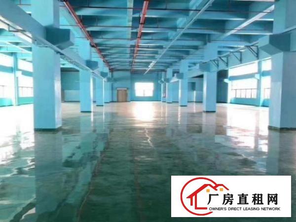  凤岗新出原房东独院厂房6500平方带装修急租