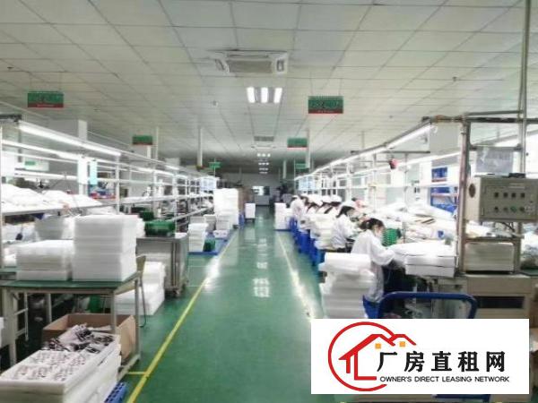  凤岗新出原房东独院厂房6500平方带装修急租