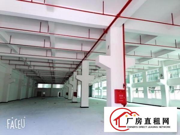  全年免租实际面积出租标准厂房总面积20万平方100平方起租