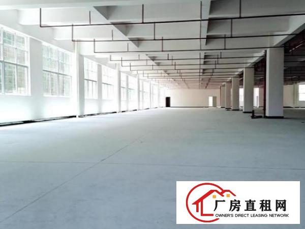  全年免租实际面积出租标准厂房总面积20万平方100平方起租