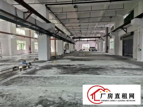  东莞凤岗竹塘村原房东一楼2000平，适合五金不锈钢材等等均可
