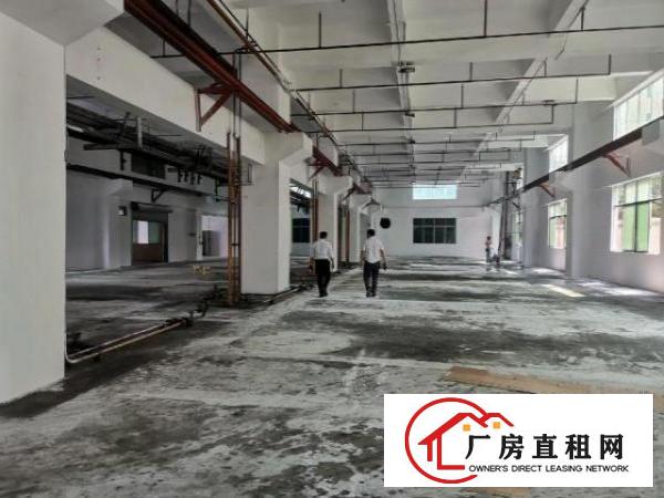  东莞凤岗竹塘村原房东一楼2000平，适合五金不锈钢材等等均可