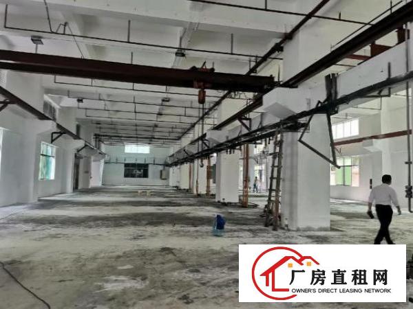  东莞凤岗竹塘村原房东一楼2000平，适合五金不锈钢材等等均可