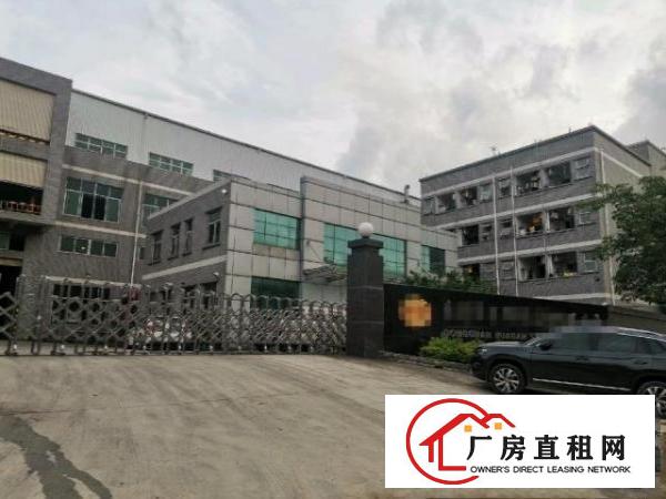  东莞凤岗竹塘村原房东一楼2000平，适合五金不锈钢材等等均可
