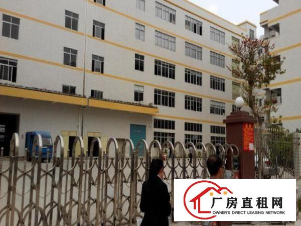  凤岗大型产业园厂房出租！小分租1000平米