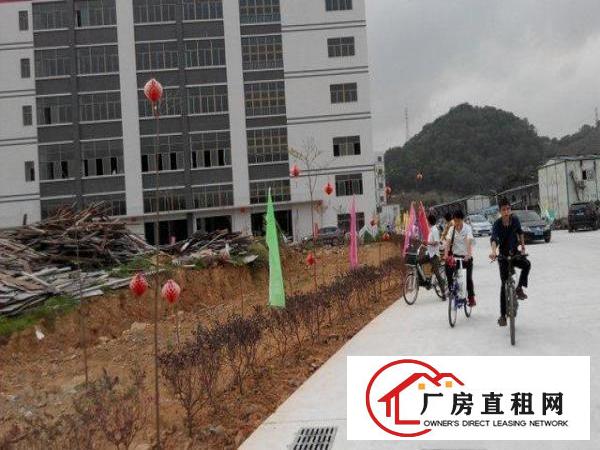  凤岗大型产业园厂房出租！小分租1000平米