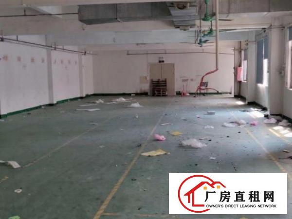  出租凤岗镇凤岗中心市场350平方厂房现成装修价格便宜