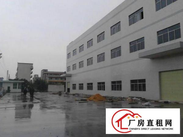  凤岗大量小面积厂房招租楼上带梯500--800-2000