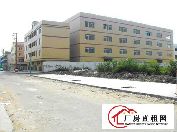  凤岗大量小面积厂房招租楼上带梯500--800-2000