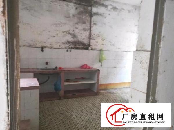  东莞市凤岗镇五联村小厂房发租