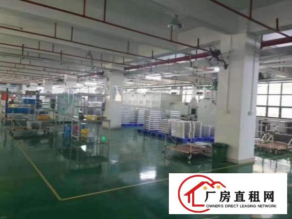  凤岗近平湖新出三楼2200平豪华装修厂房出租现成办公室