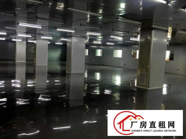  凤岗五联无尘车间出租2600平LED触膜屏口罩医疗器材
