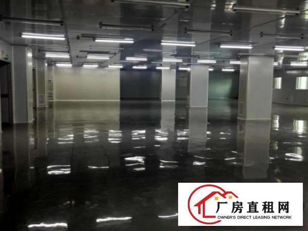 凤岗五联无尘车间出租2600平LED触膜屏口罩医疗器材