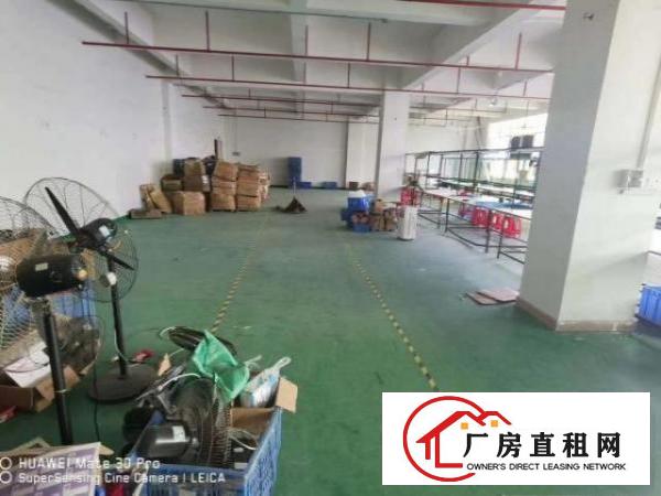  凤岗带流水线台地坪漆好招工厂房出租楼上660平米靠近深圳