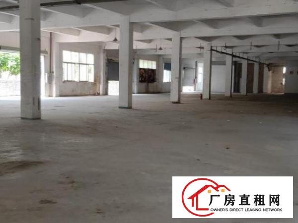  临时仓库厂房出租一楼3000平米可以分空地大