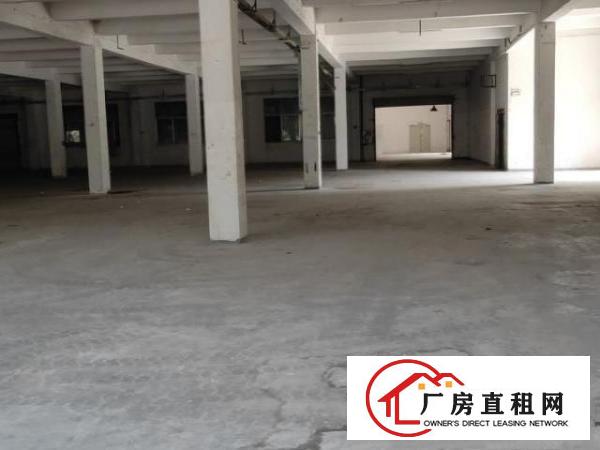  临时仓库厂房出租一楼3000平米可以分空地大