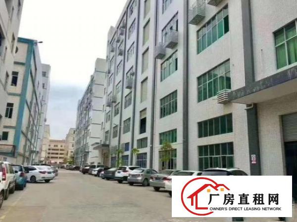  凤岗金凤凰楼上带装修电子包装配件加工厂房出租