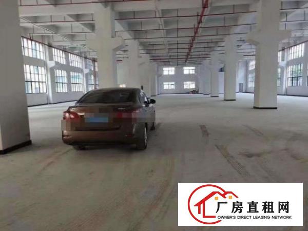  带红本主干道边上凤岗近深圳独院厂房电商仓库出租35600平