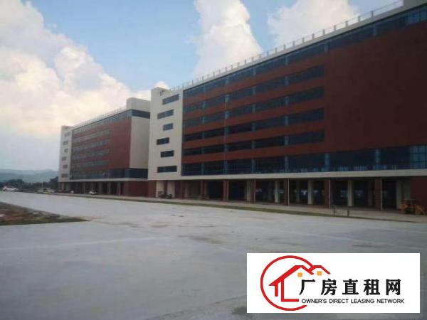  带红本主干道边上凤岗近深圳独院厂房电商仓库出租35600平