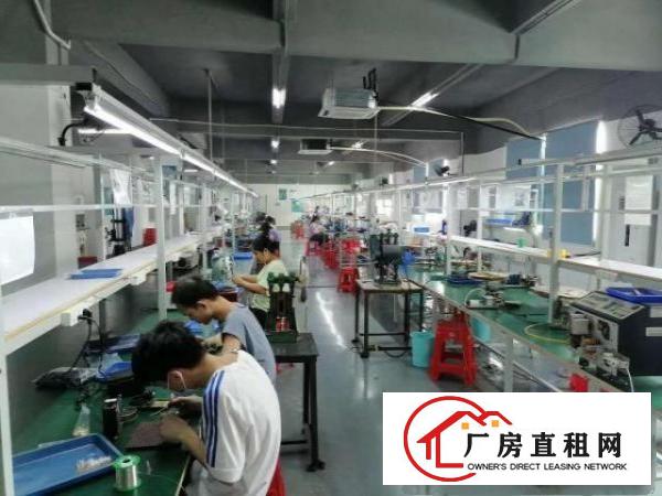  ！带流水线台带装修厂房出租楼上1000平米靠近龙岗