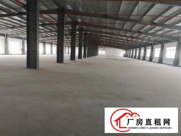  油甘埔新出原房东钢构独院600平高7米厂房出租，无公摊